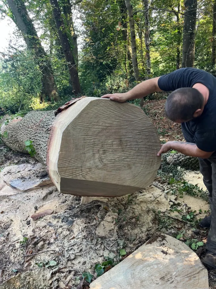 Dessouchage près de Gouvieux