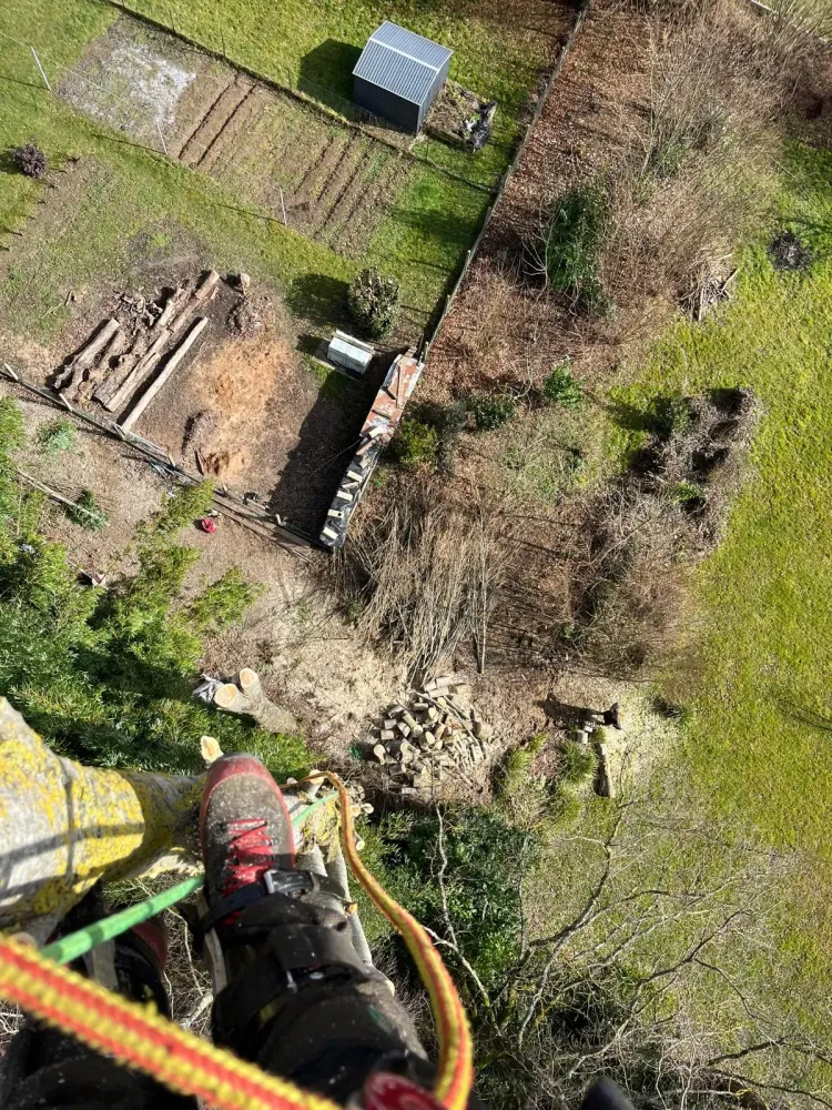 Taille près de Gouvieux