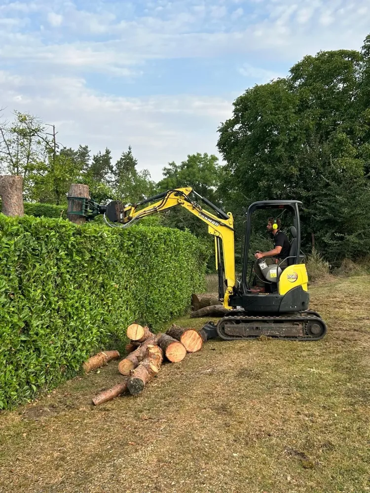 Taille de haie près de Gouvieux